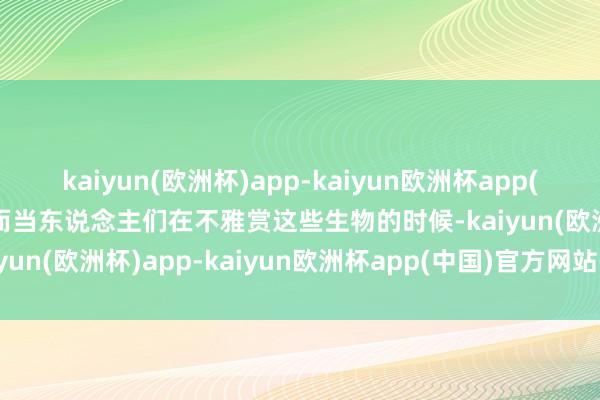kaiyun(欧洲杯)app-kaiyun欧洲杯app(中国)官方网站-登录入口而当东说念主们在不雅赏这些生物的时候-kaiyun(欧洲杯)app-kaiyun欧洲杯app(中国)官方网站-登录入口