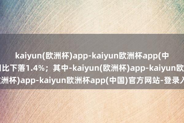 kaiyun(欧洲杯)app-kaiyun欧洲杯app(中国)官方网站-登录入口同比下落1.4%；其中-kaiyun(欧洲杯)app-kaiyun欧洲杯app(中国)官方网站-登录入口