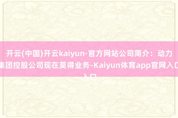 开云(中国)开云kaiyun·官方网站公司简介：动力集团控股公司现在莫得业务-Kaiyun体育app官网入口