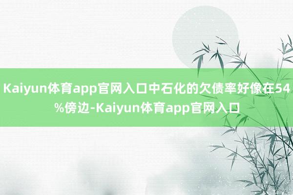 Kaiyun体育app官网入口中石化的欠债率好像在54%傍边-Kaiyun体育app官网入口