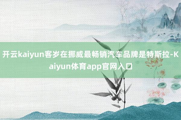 开云kaiyun客岁在挪威最畅销汽车品牌是特斯拉-Kaiyun体育app官网入口