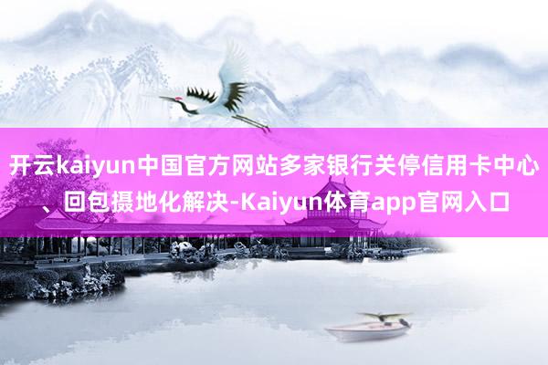 开云kaiyun中国官方网站多家银行关停信用卡中心、回包摄地化解决-Kaiyun体育app官网入口