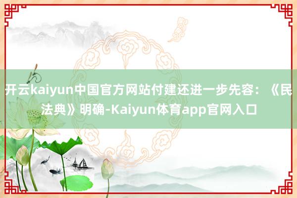 开云kaiyun中国官方网站付建还进一步先容：《民法典》明确-Kaiyun体育app官网入口