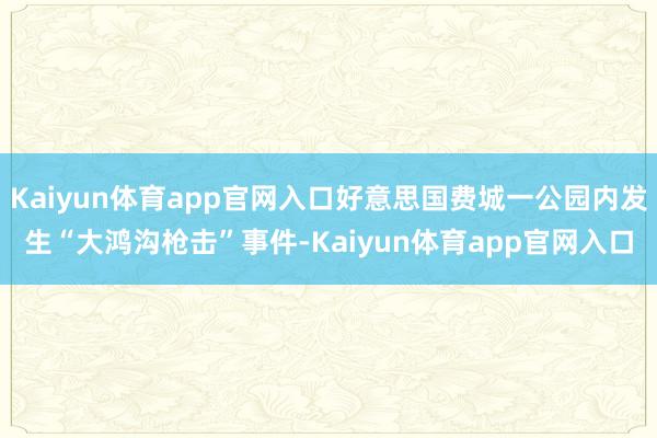 Kaiyun体育app官网入口好意思国费城一公园内发生“大鸿沟枪击”事件-Kaiyun体育app官网入口