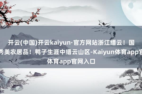 开云(中国)开云kaiyun·官方网站浙江缙云！国度地舆秀美农居品！鸭子生涯中缙云山区-Kaiyun体育app官网入口