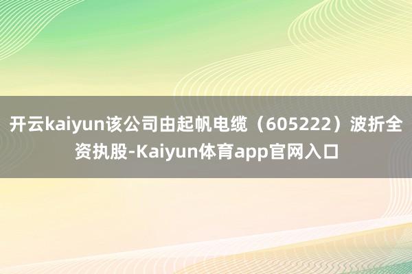 开云kaiyun该公司由起帆电缆（605222）波折全资执股-Kaiyun体育app官网入口