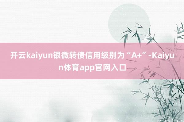开云kaiyun银微转债信用级别为“A+”-Kaiyun体育app官网入口