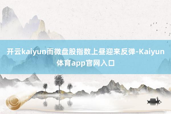 开云kaiyun而微盘股指数上昼迎来反弹-Kaiyun体育app官网入口