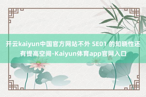 开云kaiyun中国官方网站不外 SE01 的知晓性还有提高空间-Kaiyun体育app官网入口