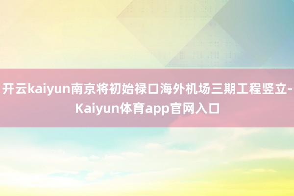 开云kaiyun南京将初始禄口海外机场三期工程竖立-Kaiyun体育app官网入口